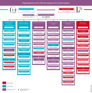 Organigramme des services